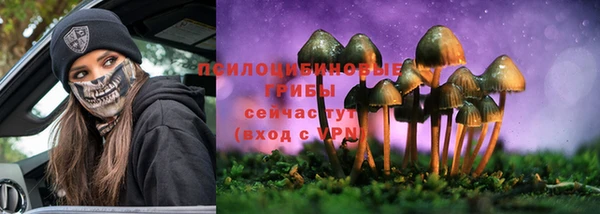 PSILOCYBIN Гусь-Хрустальный